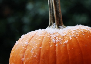 frosty pumpkin