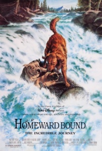 homeward-bound_dvd_cover